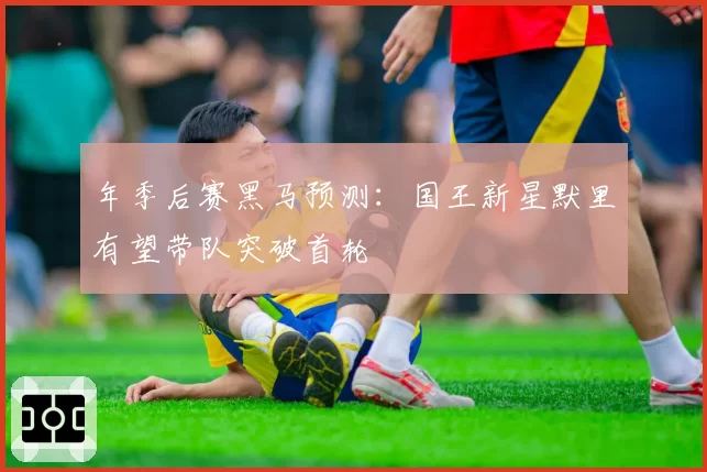 年季后赛黑马预测：国王新星默里有望带队突破首轮